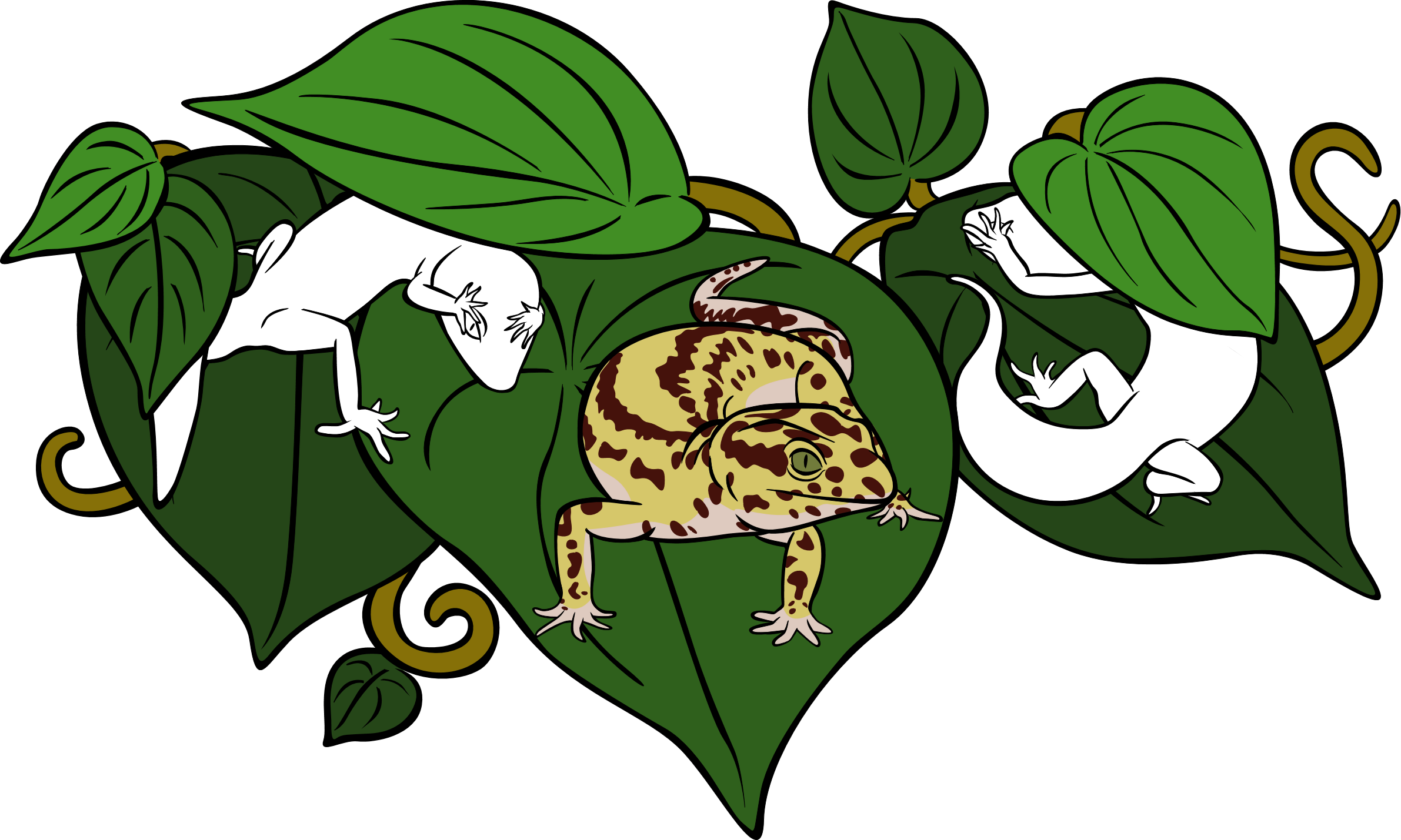 Leopard Gecko Clipart Cartoon - Gecko (2382x1429)