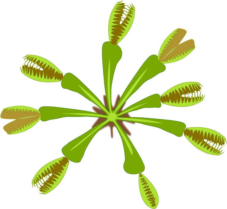 Similar Clip Art - Png Dionaea (800x800)
