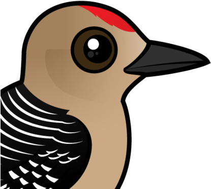 Woodpecker Clipart Two - Zazzle Birdorable Gila Woodpecker Ring, Adult Unisex, (440x440)