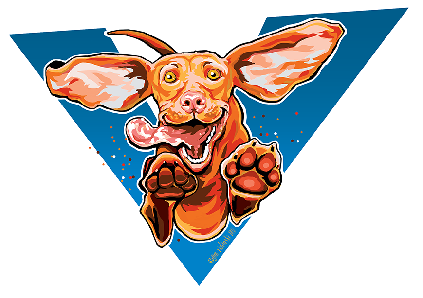 Multiple Background Color Options For Both Magnets, - Happy Excited Vizsla Jumping And Playing Zipper Studio (900x632)
