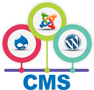 Cms Website Designing - Web Design (388x349)