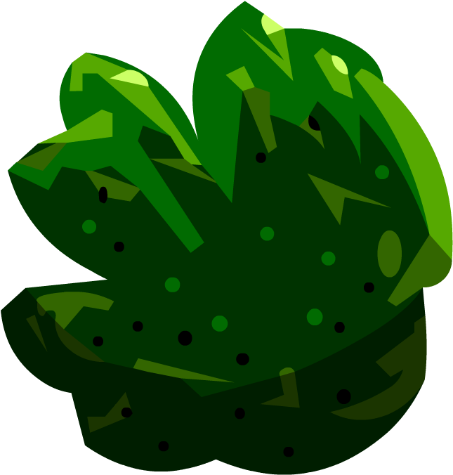 Algae - Science (880x880)