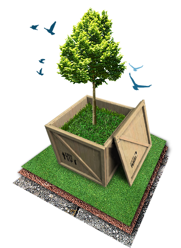 Tree Protection - Foreign Operation Methods By Lawrence S. Welch (362x494)