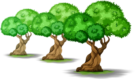 Image Of Large Trees - Tutti Gli Animali Grandi E Piccoli Coloring Book (600x368)
