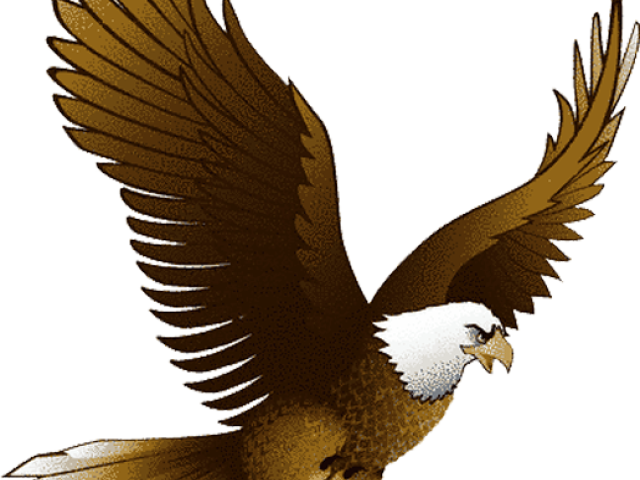 Bald Eagle Clipart Traceable - Soaring Eagle Eagle Clip Art (640x480)