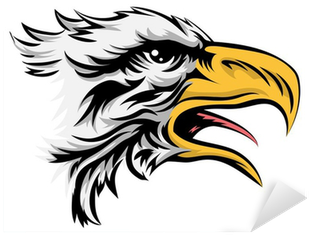 Vector Graphics (400x400)