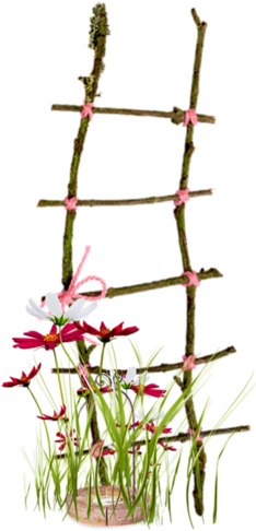 Garden - Transparent Background Png Nature (240x500)