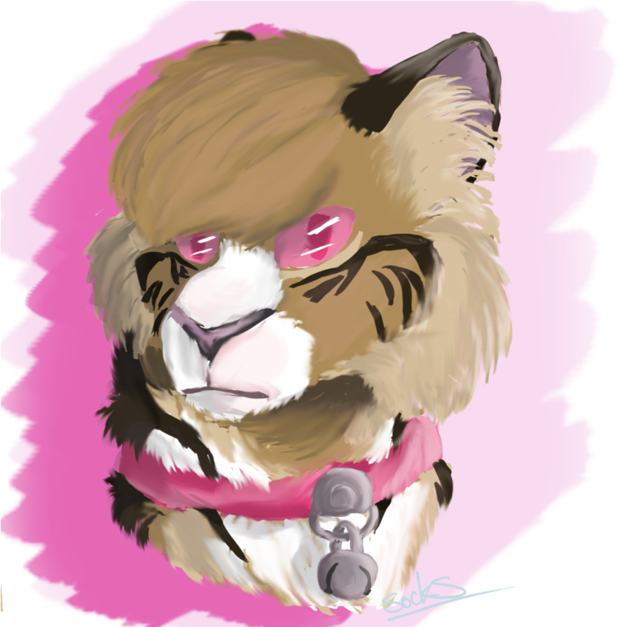 Chas Portrait - Lion (894x894)