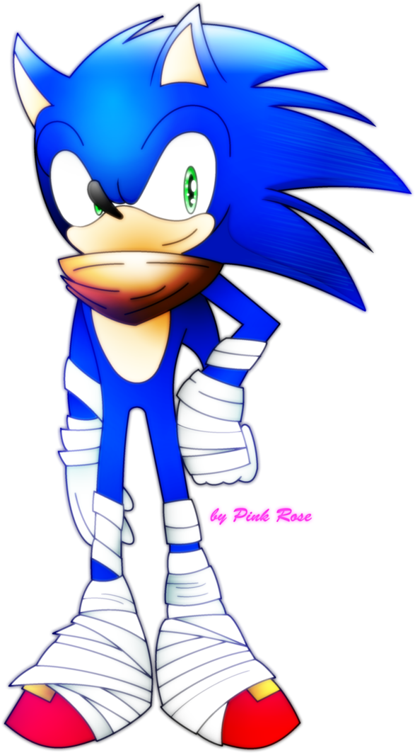Sonic The Hedgehog Sonic Boom By Pinkrose2001sonic - Sonic The Hedgehog Sonic Boom (716x1116)
