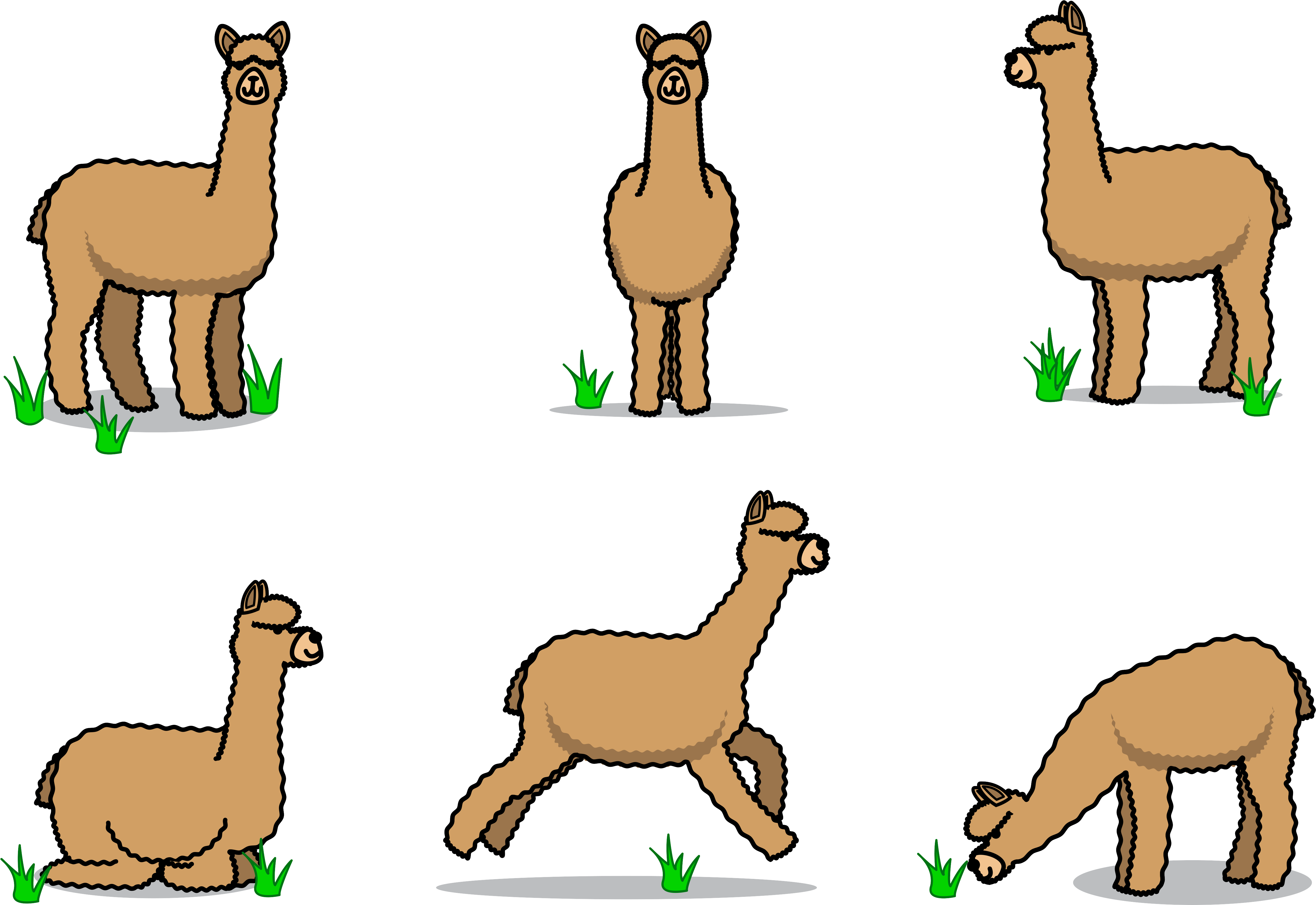 Stick Figure Alpaca - Alpaca Transparent (4985x3445)