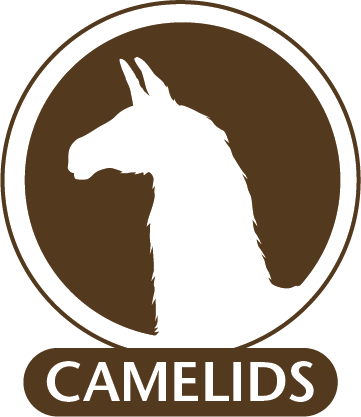 Monoclonal Antibodies For Use In Camelids - Circle Divided Into Sixths (361x417)