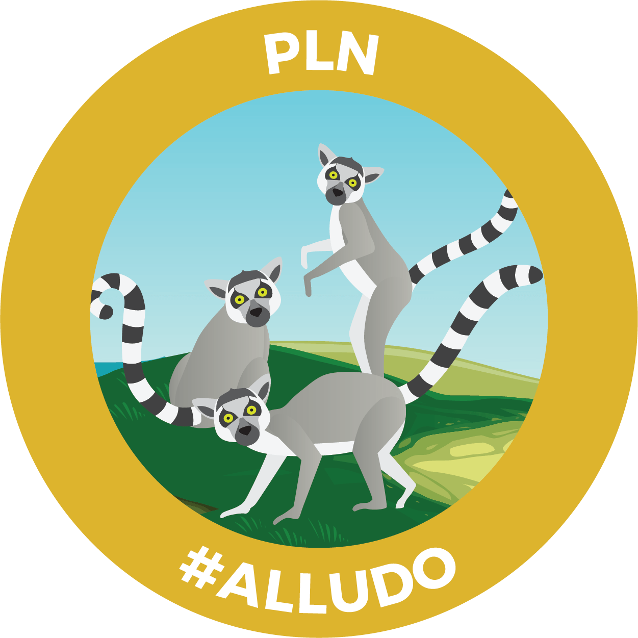 Learn More About Alludo - Kangaroo (1251x1251)