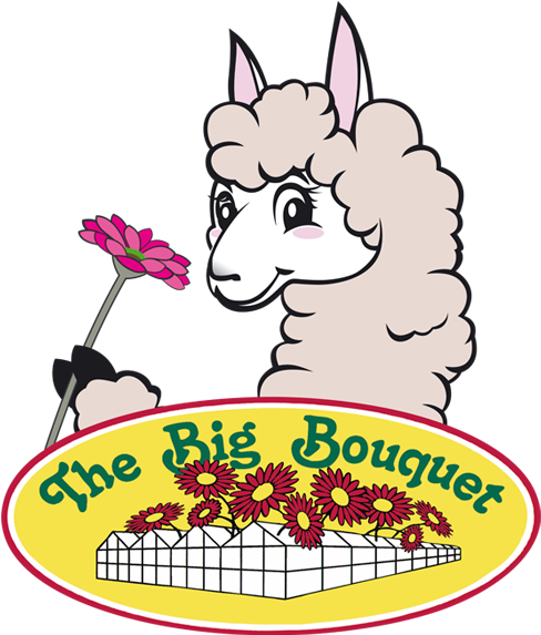 Gerbera & Alpaca Farm - The Big Bouquet (517x600)