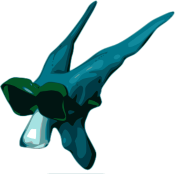 Clip Art Computer Icons Portable Network Graphics Image - Portable Network Graphics (600x596)