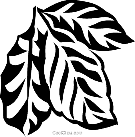 Coffee Plant Royalty Free Vector Clip Art Illustration - Coffee Plant Vector Png (472x480)