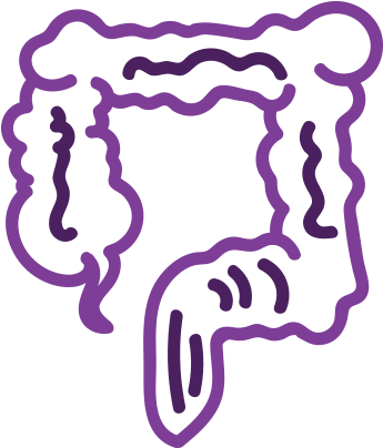 Signs I Should Cleanse My Colon - Large Intestine (354x412)