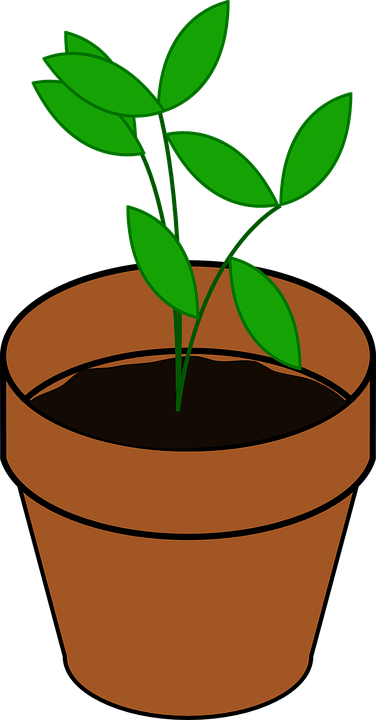 Green Grass With Water Droplets And Ladybug Clipart - Cartoon Pic Of Plants (376x720)