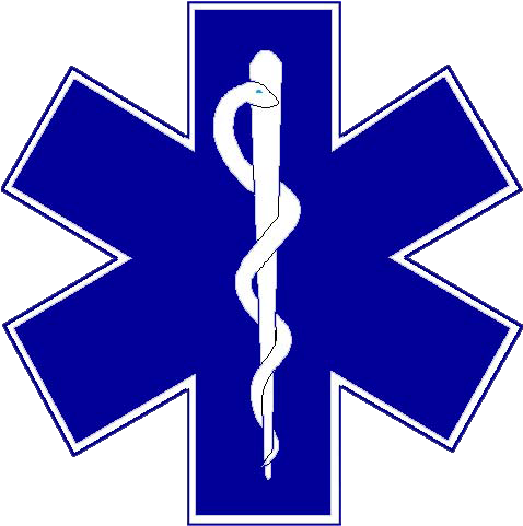 Star Of Life (528x528)