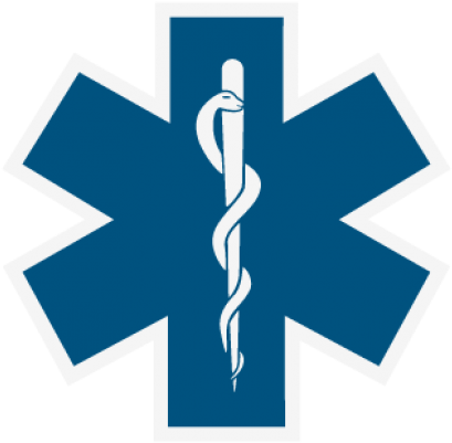 Star Of Life Vector (518x518)
