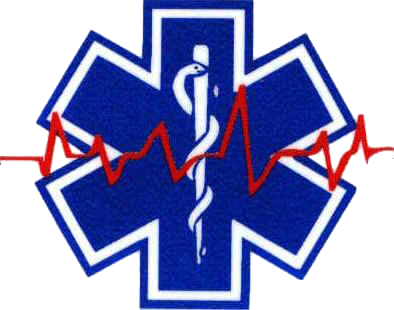 Star Of Life Symbol (394x310)