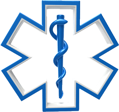 Alicia Escamilla Cerón - Ems Star Of Life (410x500)