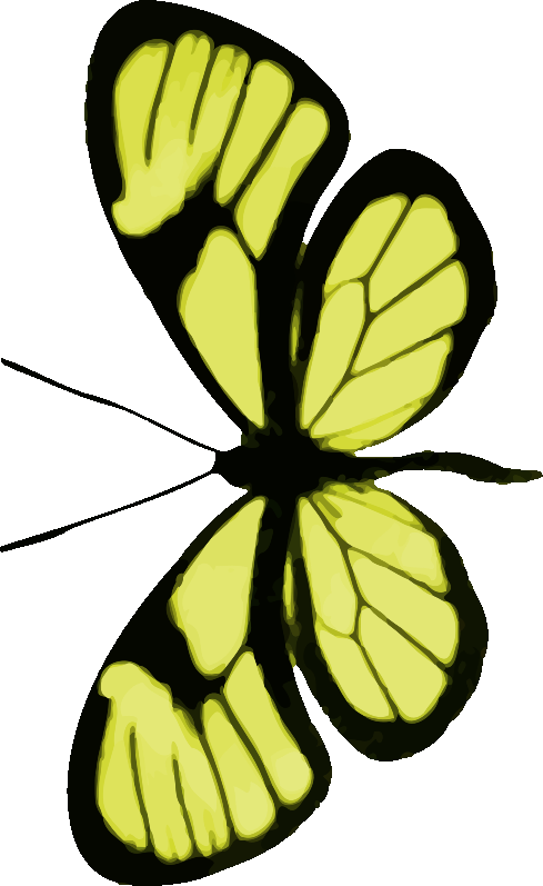Png Clipart- Butterfly Pack - Clip Art (489x797)