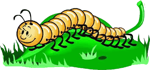Millipede Clipart Cartoon - Centipede Clipart (511x300)