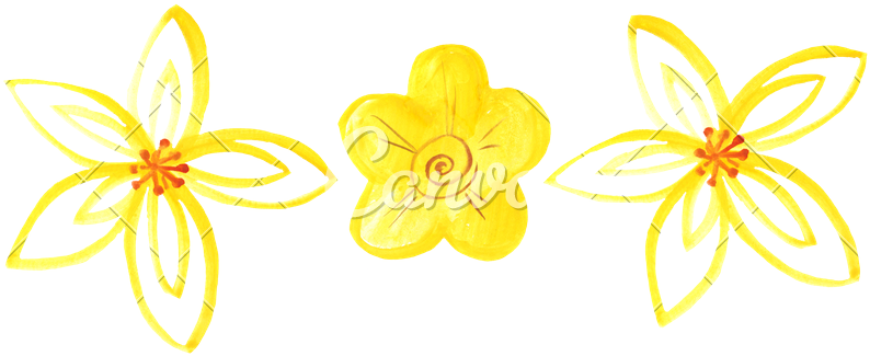 Hand Drawing Of A Pencil Drawing Of A Flower Bud - Artificial Flower (800x329)