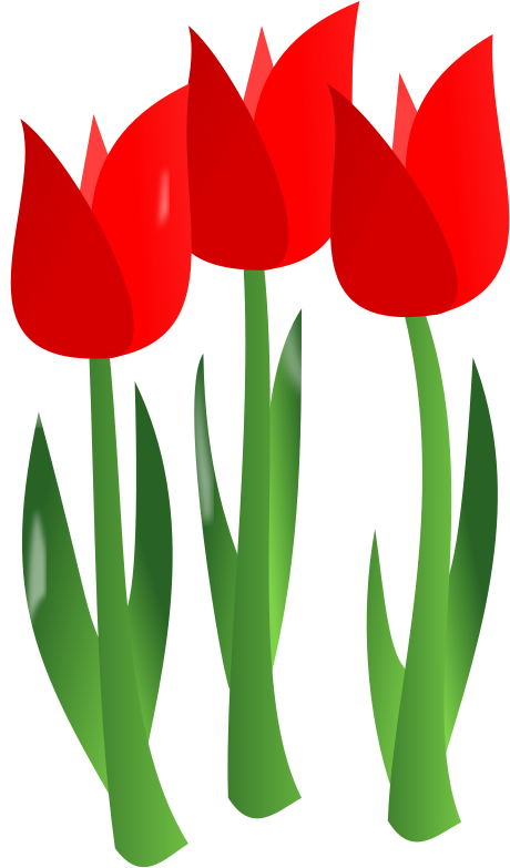 Similar Clip Art - Mothers Day Clipart Flower (558x800)