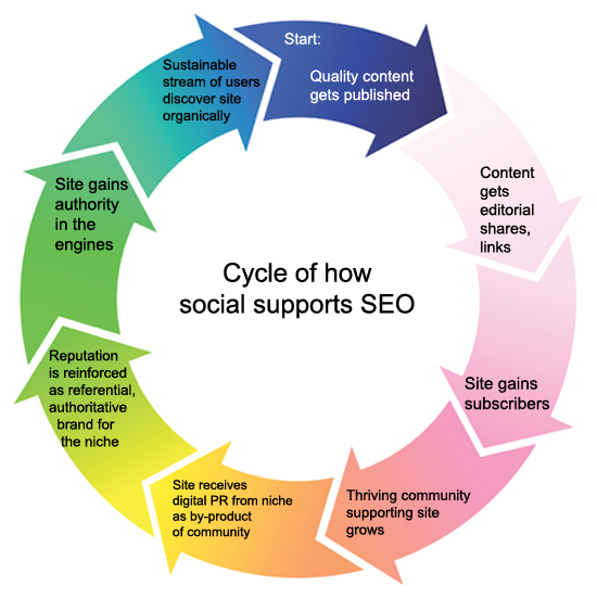 The Seo Plan - Social Media Seo (550x551)