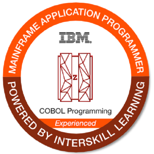 Ibm Z Enterprise Computing Kickstart - Washington Dc Police Logo Png (500x500)