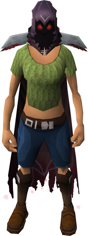 Combatant's Cape And Hood (372x995)