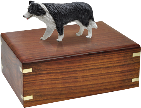Border Collie Dog Figurine Wood Urn - Urn (500x500)