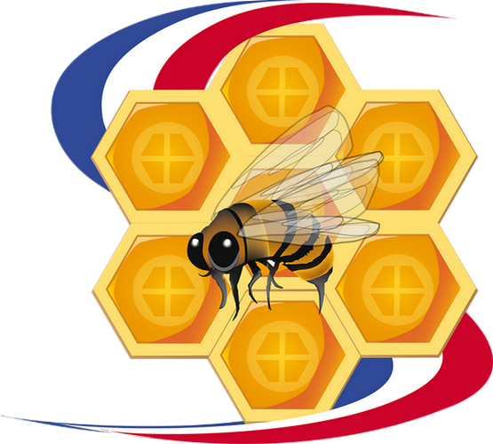 Miel De France - Honey (555x500)