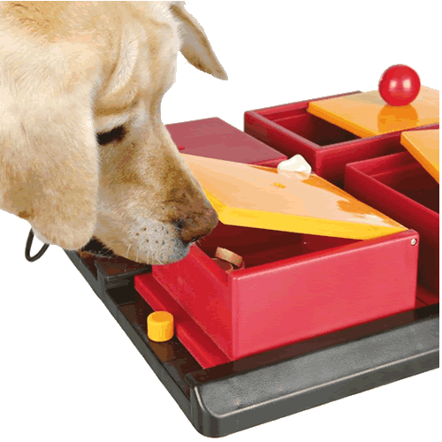 Poker Box Fun For Your Dog - Trixie Pet Products Trixie Dog Activity Kicker - 32015 (500x500)