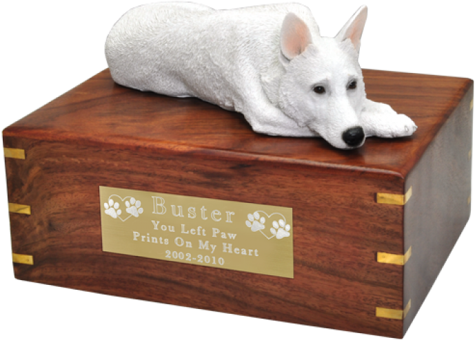 Australian Cattle Dog (700x700)