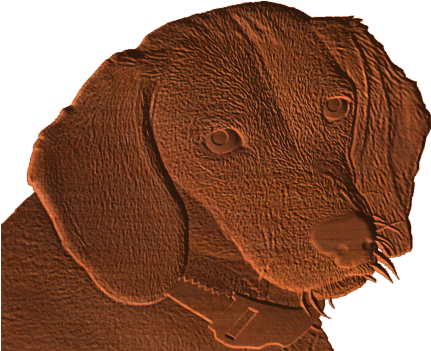 Beagle Dog Pattern - Cocker Spaniel (430x430)