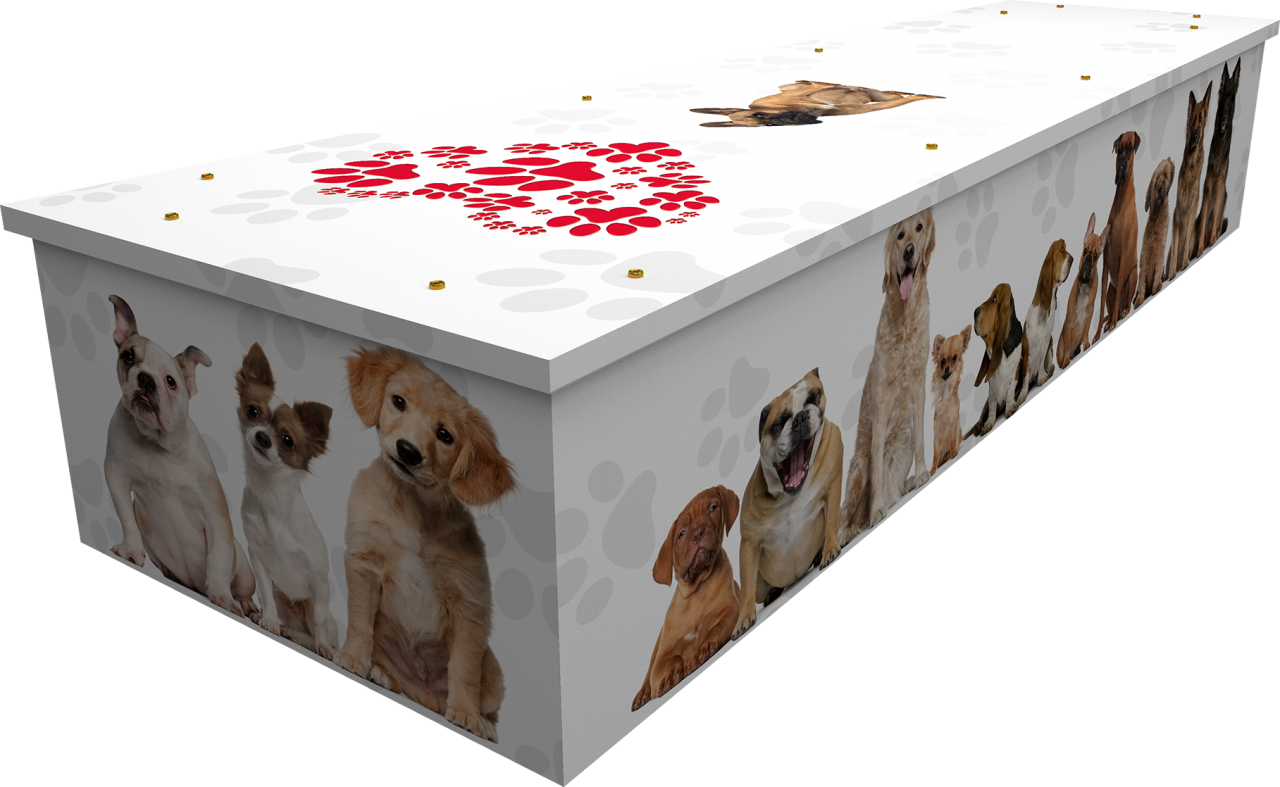 Dogs Coffin - Side - Cardboard Coffins (1280x787)