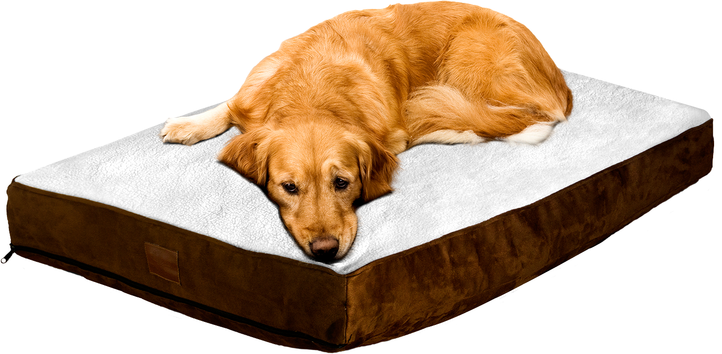 Floppy Dawg Dog Beds, Mats, Crate Covers, Leashes And - Floppy Dawg Large Dog Bed With Removable Cover And (1500x913)