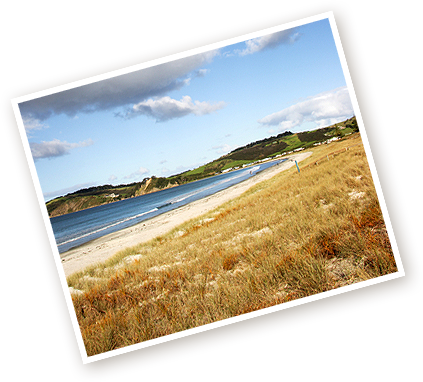 Omaha Beach New Zealand (423x382)