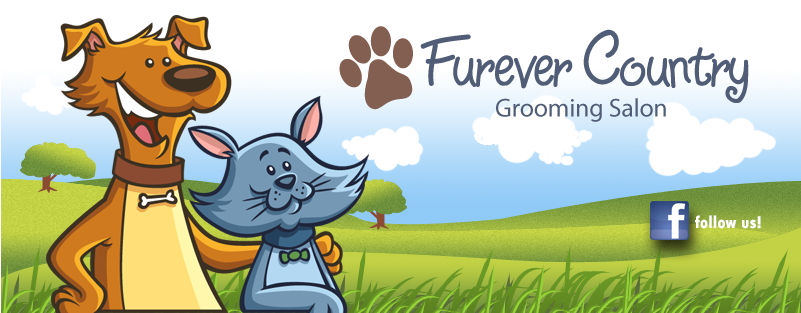 Furever Country Salon - Furever Country Grooming Salon (800x321)