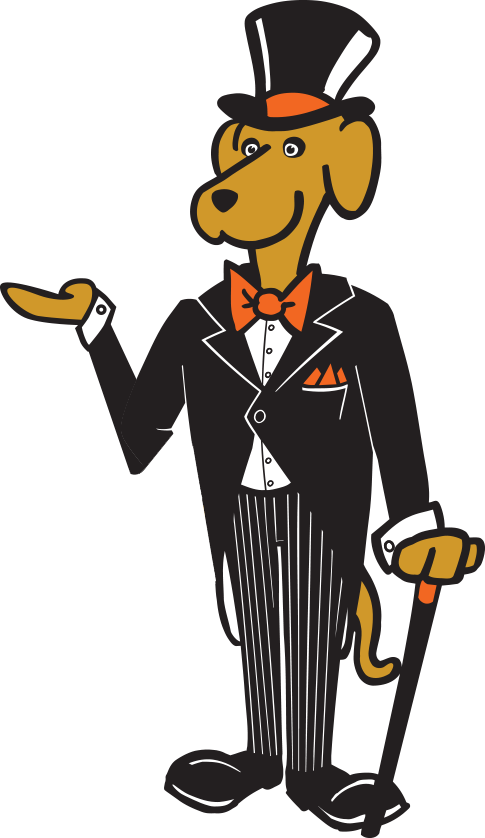 Bring Your Pooch In For Some Pampering At Dappa Dogs, - Splatoon (485x838)