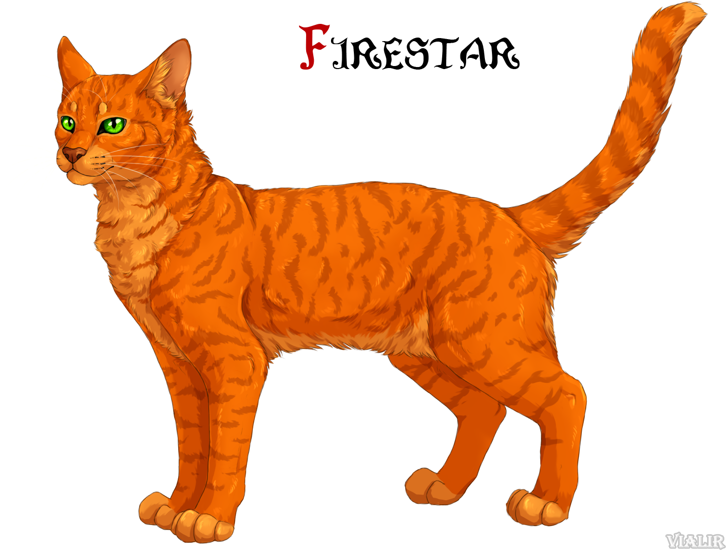 Firestar Is The Leader Of Thunderclan After Bluestar - Warrior Cats Deviantart Firestar (1467x1108)