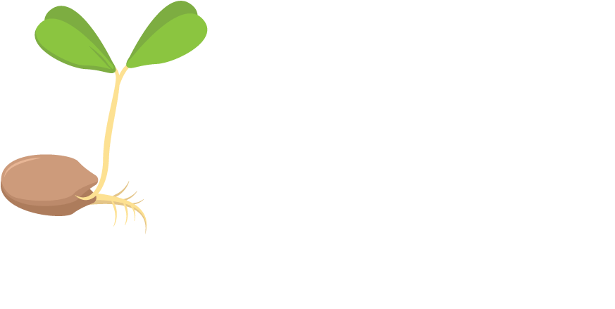 Prayer Ministry Leader - Illustration (1277x513)