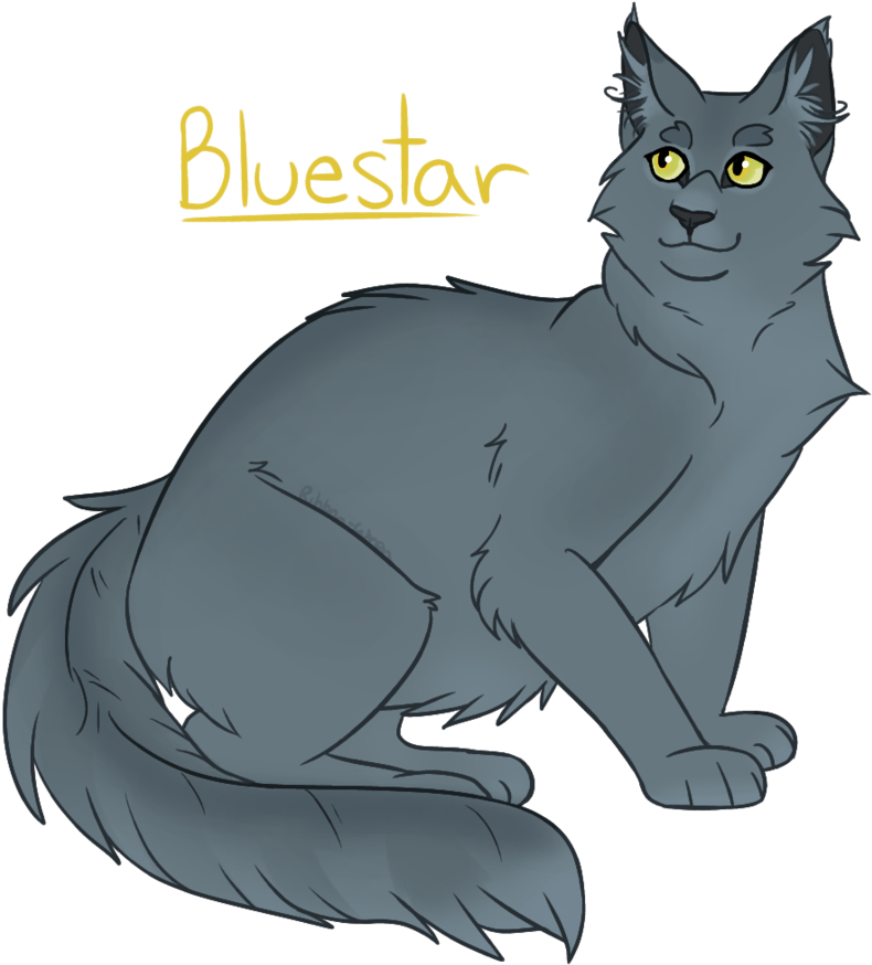Bluestar Warrior Cat Wiki Fandom Powered By Wikia - Warriors (894x894)