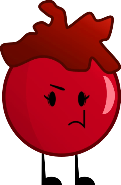 Cranberry - Blueberry (417x636)