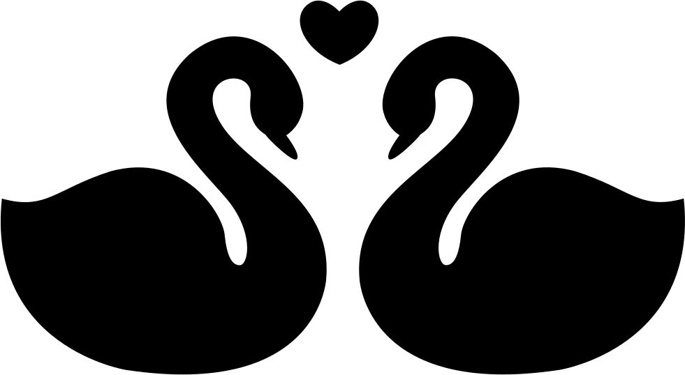 Swans Couple Fidelity Symbol Of Love Comments - Cygnini (981x538)