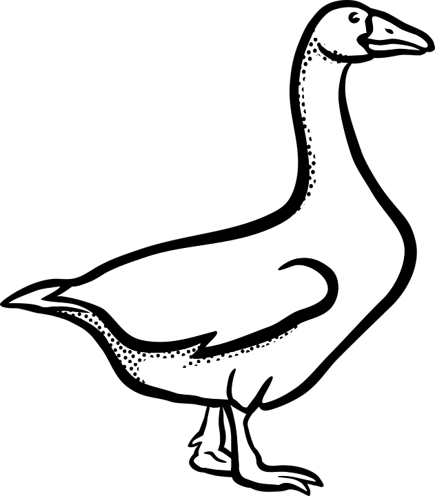 Geese Migration Clipart Dark - Black And White Transparent Duck Clipart (631x720)