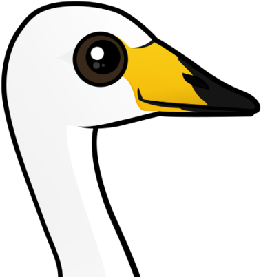 About The Whooper Swan - About The Whooper Swan (440x440)