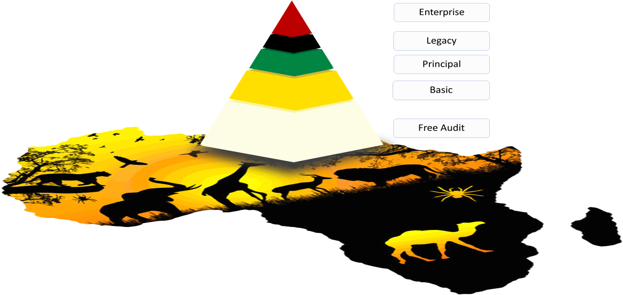 The Phoenix Publishing Paradigm Service Packages - Publishing (1754x733)